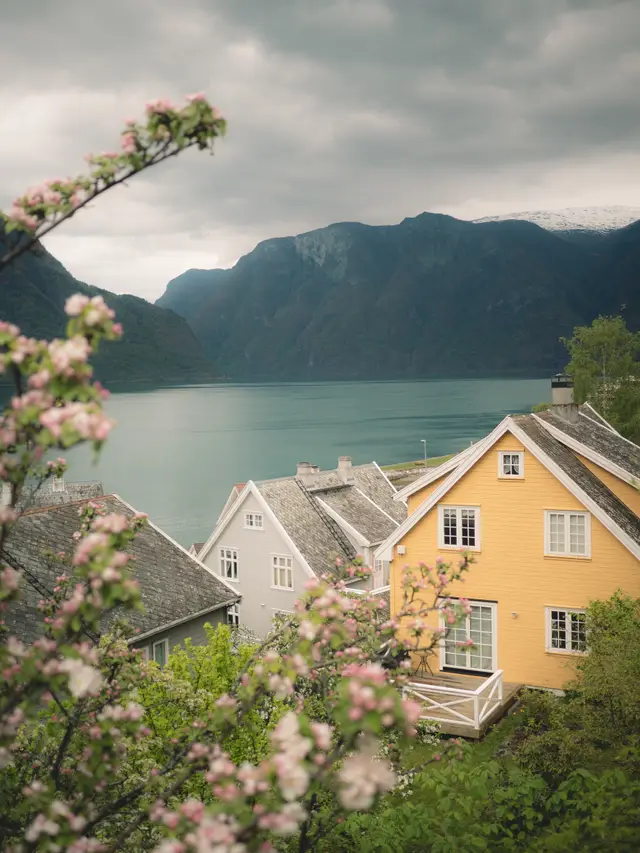 A fjord surrounded by mountains, framed by blooming cherry branches, with a yellow house in the foreground
